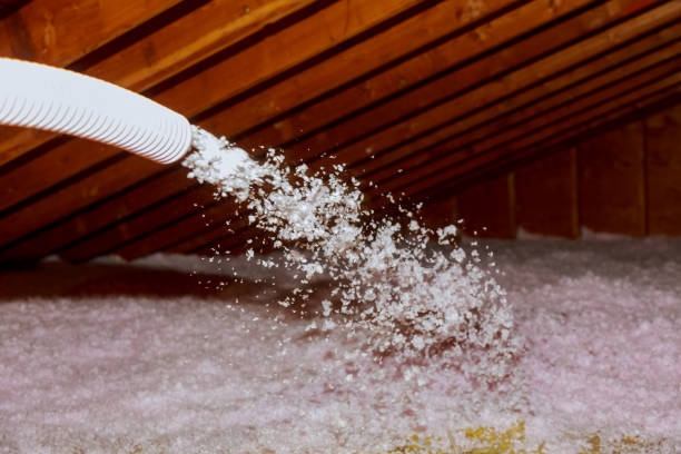 Best Cellulose Insulation in Fruitville, FL