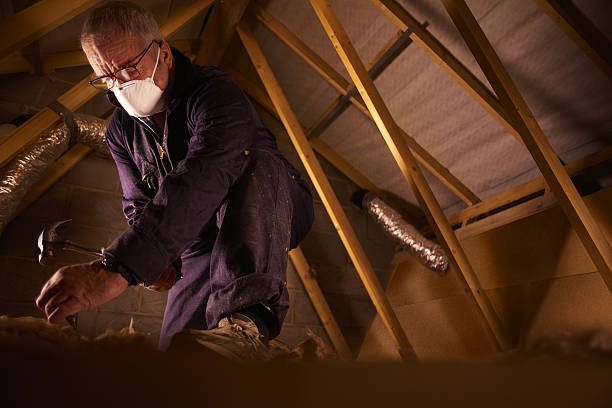 Best Eco-Friendly Insulation in Fruitville, FL